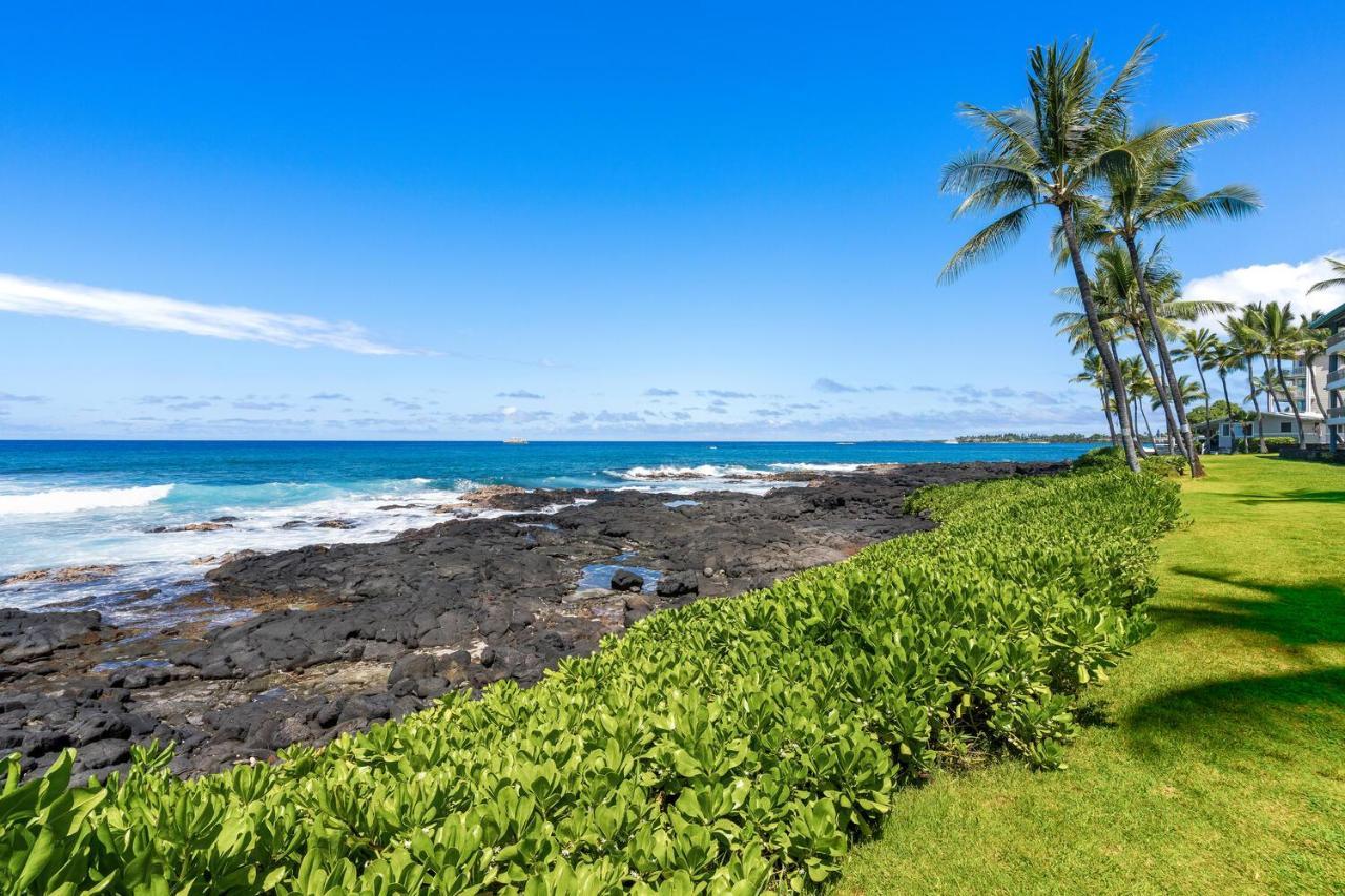 Ocean Hale Lejlighed Kailua-Kona Eksteriør billede