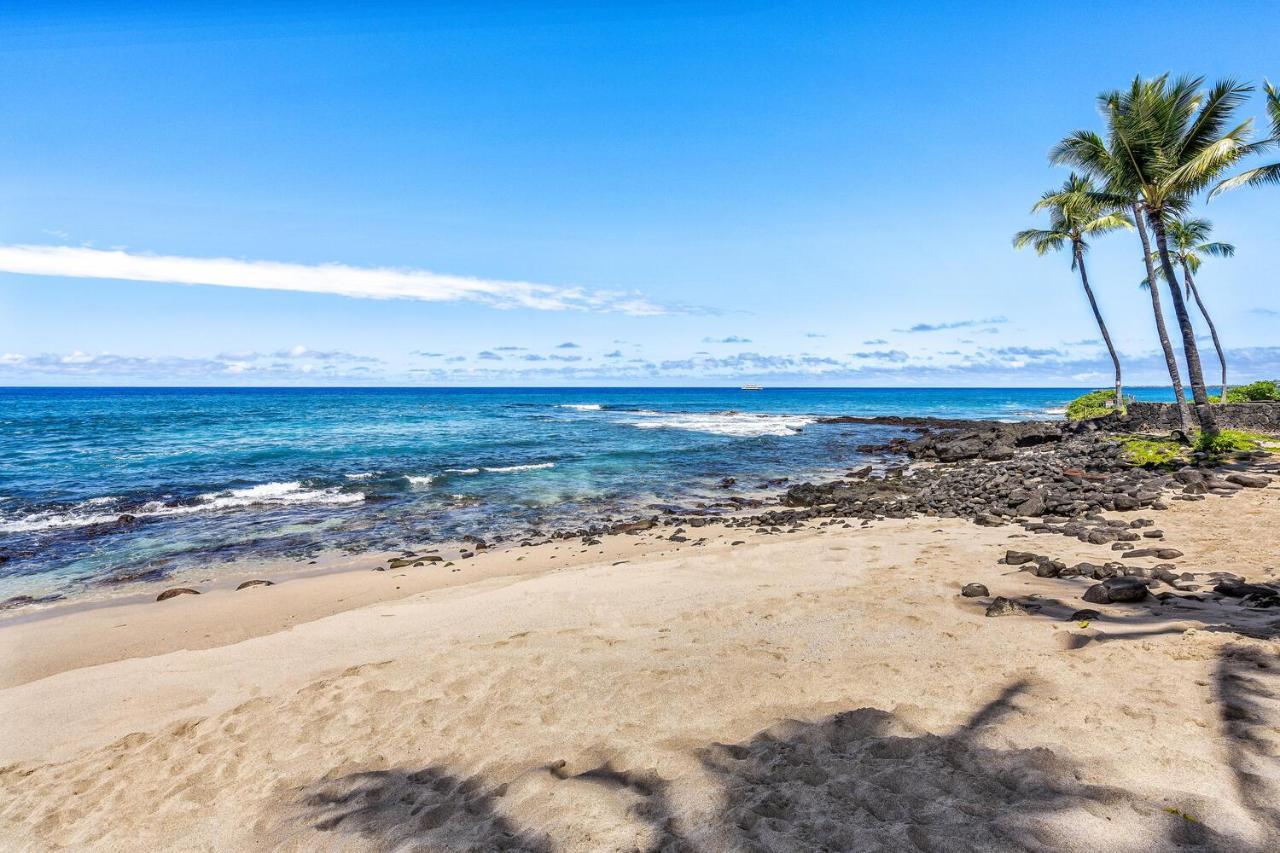 Ocean Hale Lejlighed Kailua-Kona Eksteriør billede